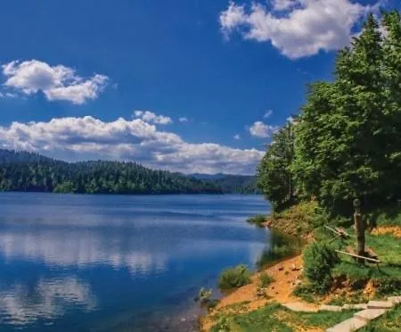 Planinski Raj アパート *