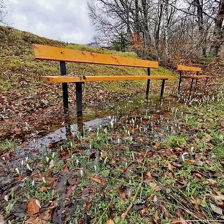 アパート Planinski Raj ロクヴェ