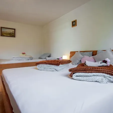 Planinski Raj アパート *